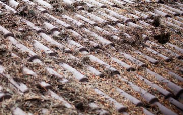 Bathville roof cleaning companies